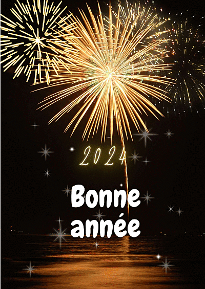 bonne-année-2024-gif.gif