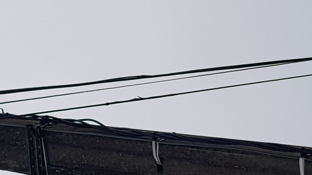 Le gros cable regroupe mes 2 voisins et moi, il est ébréché