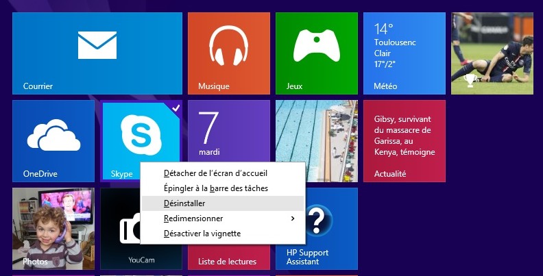 Vignette Skype.jpg