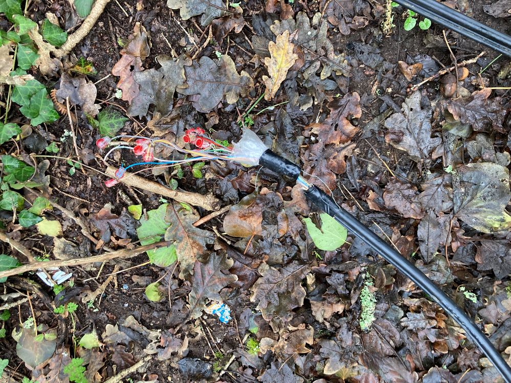 20240210 Après cloture Signalisations 4279303